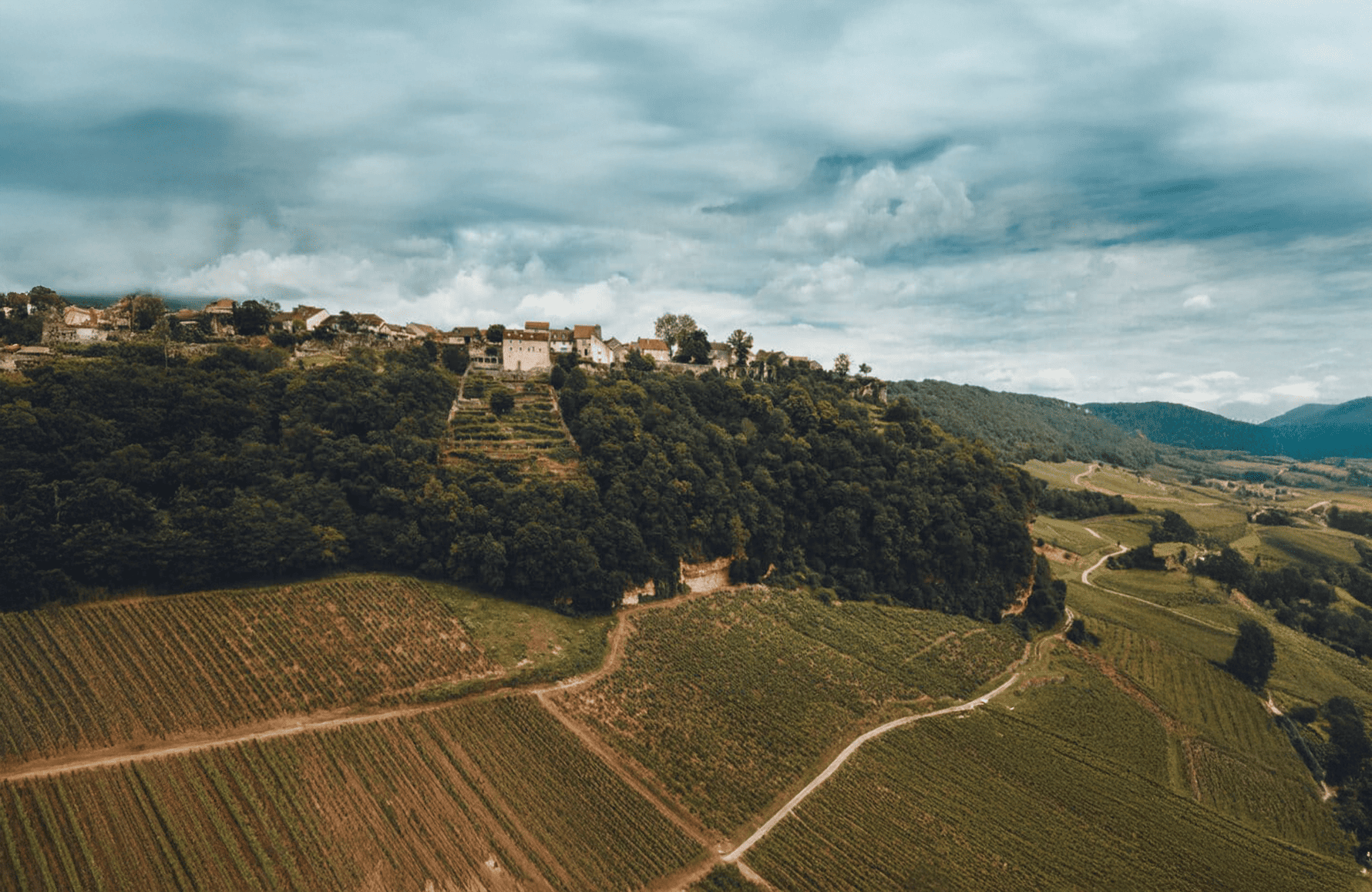 l’histoire du Domaine Berthet-Bondet
