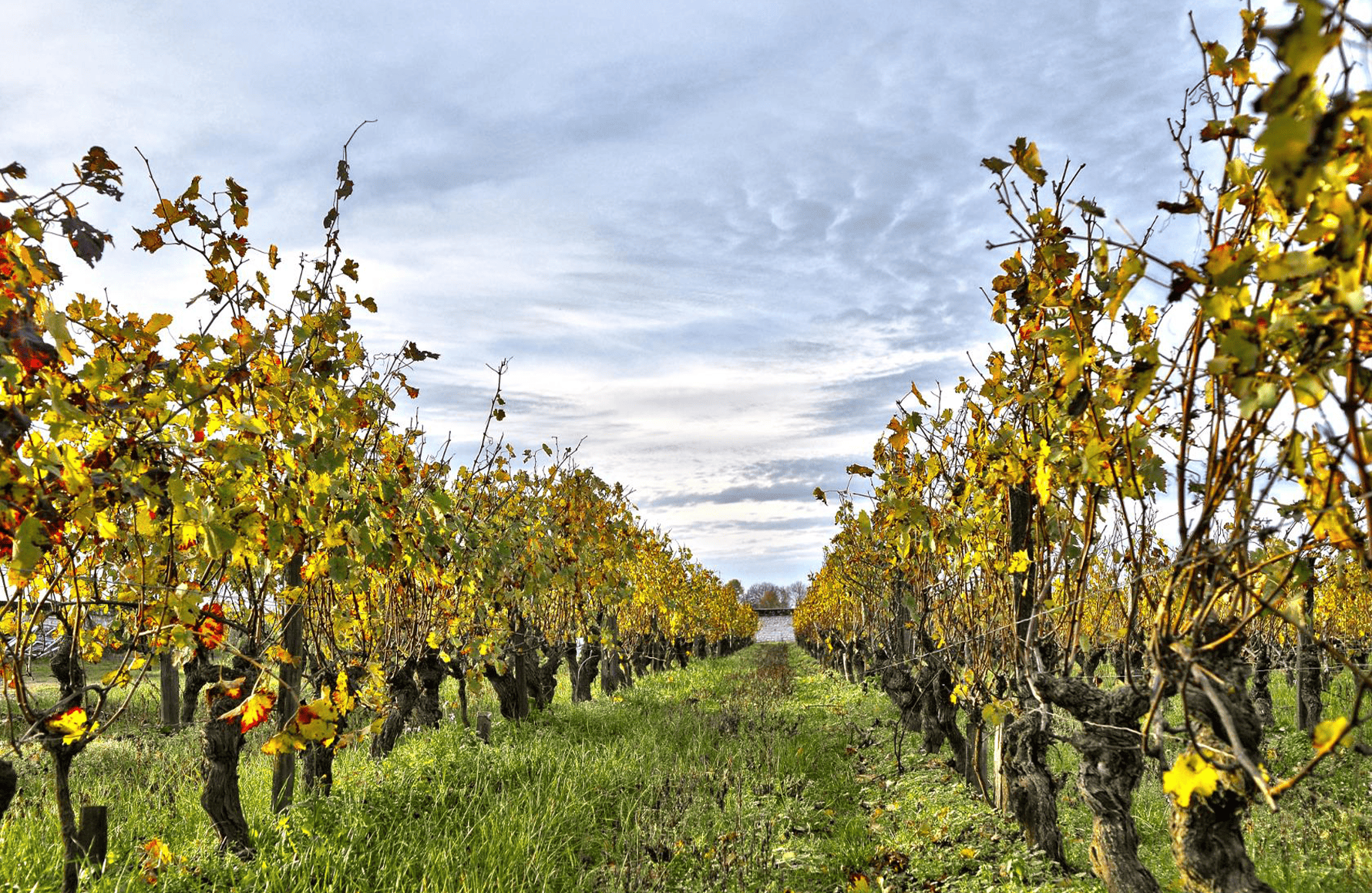 the story of Fabrice Gasnier Estate