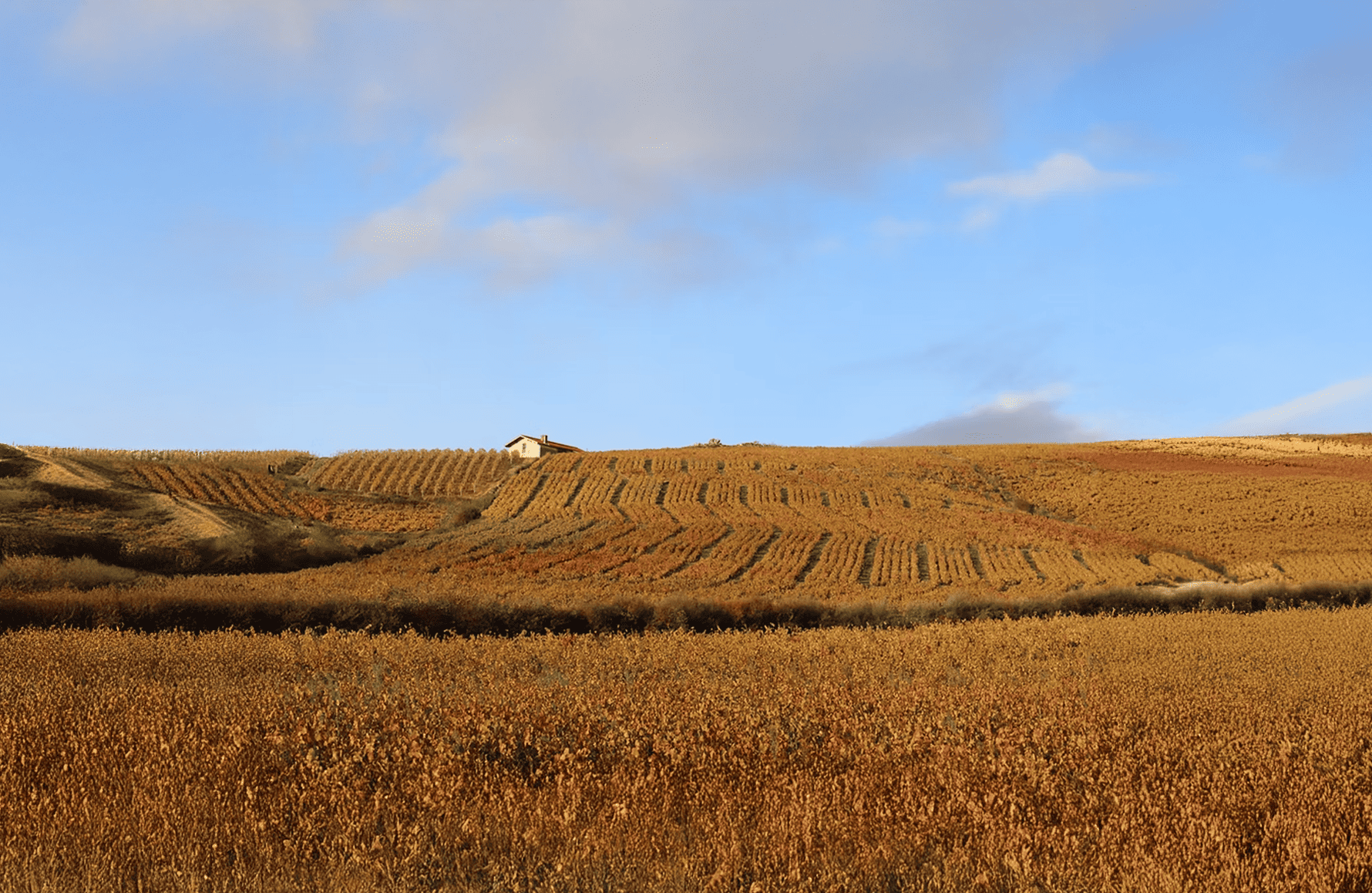 the story of Hoppenot Estate