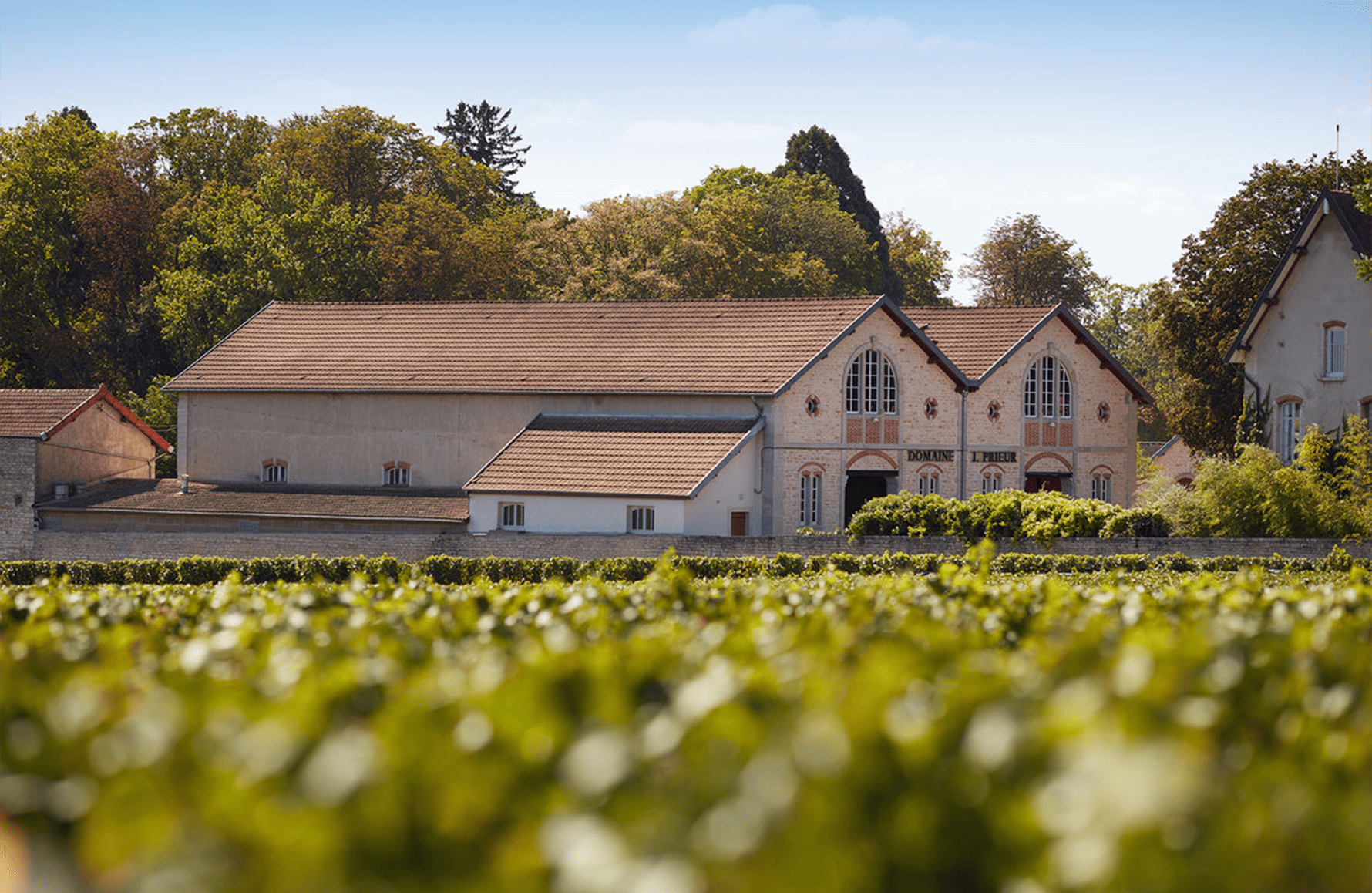 the story of Domaine Jacques Prieur