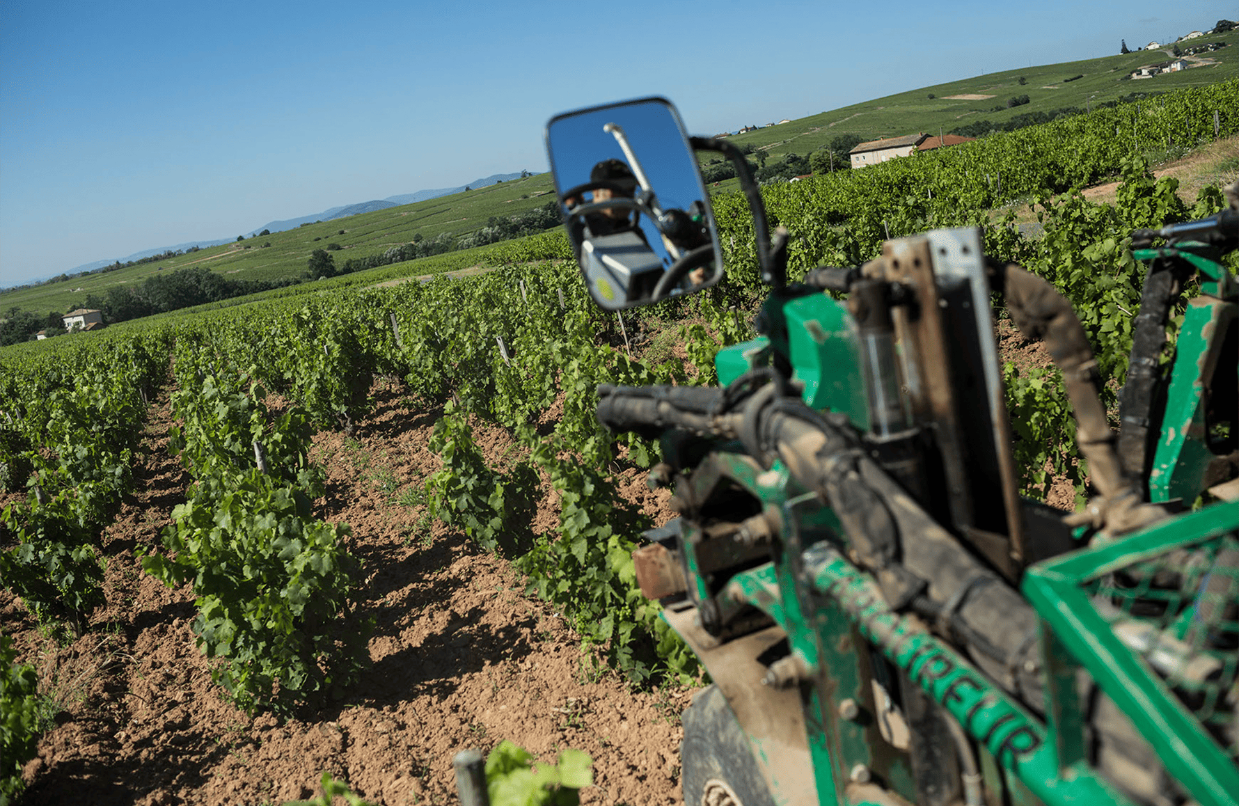 the story of Domaine Paul Janin et Fils