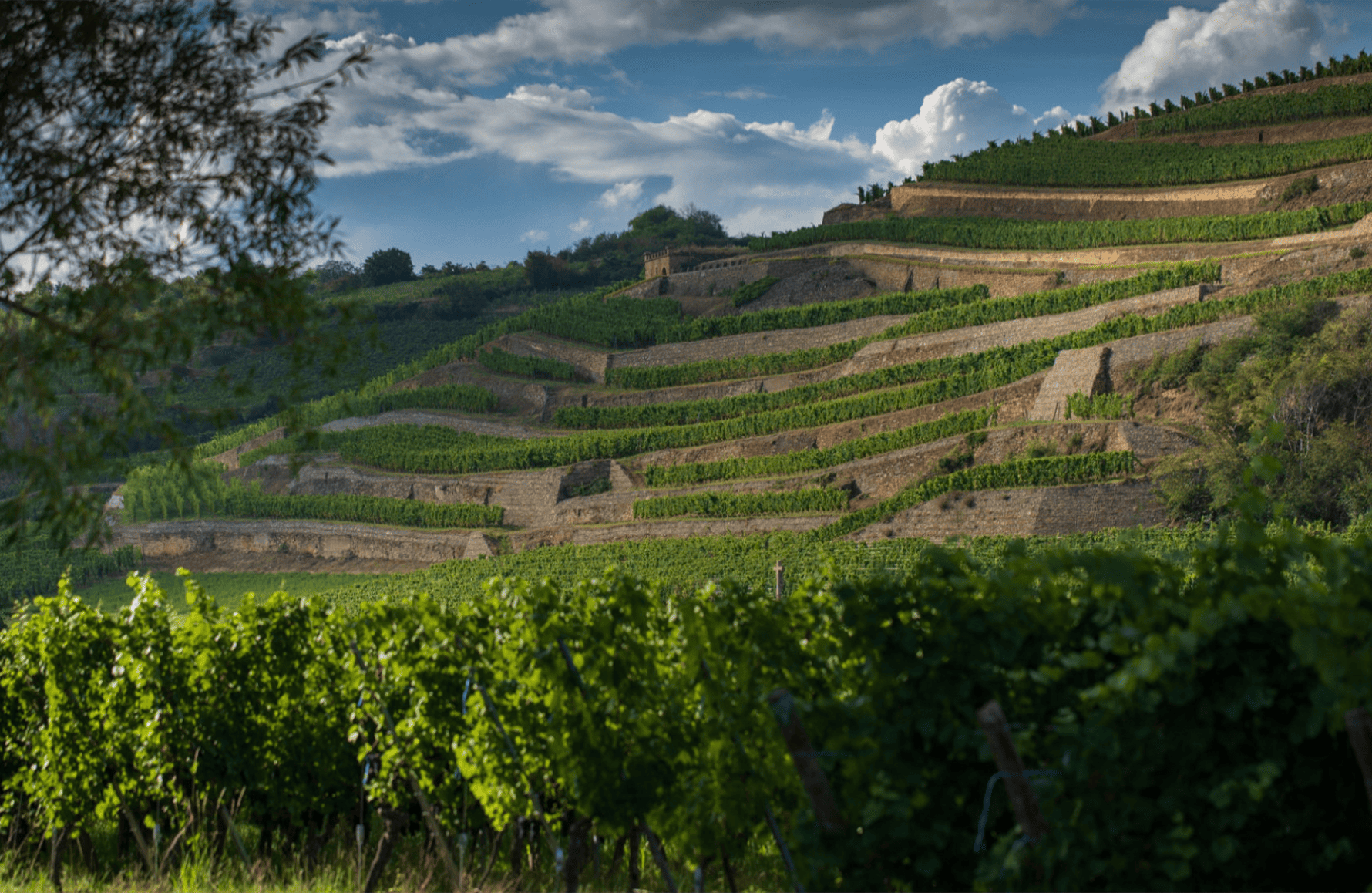 l’histoire du René Muré