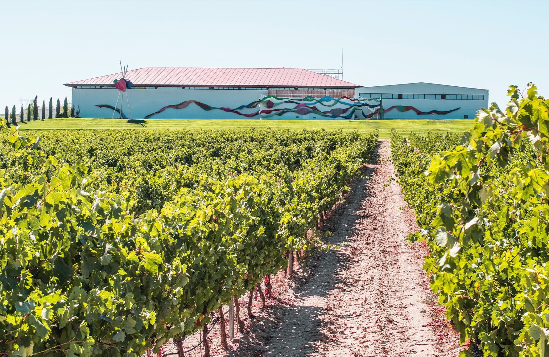 the story of Dominio de Pingus - Spain