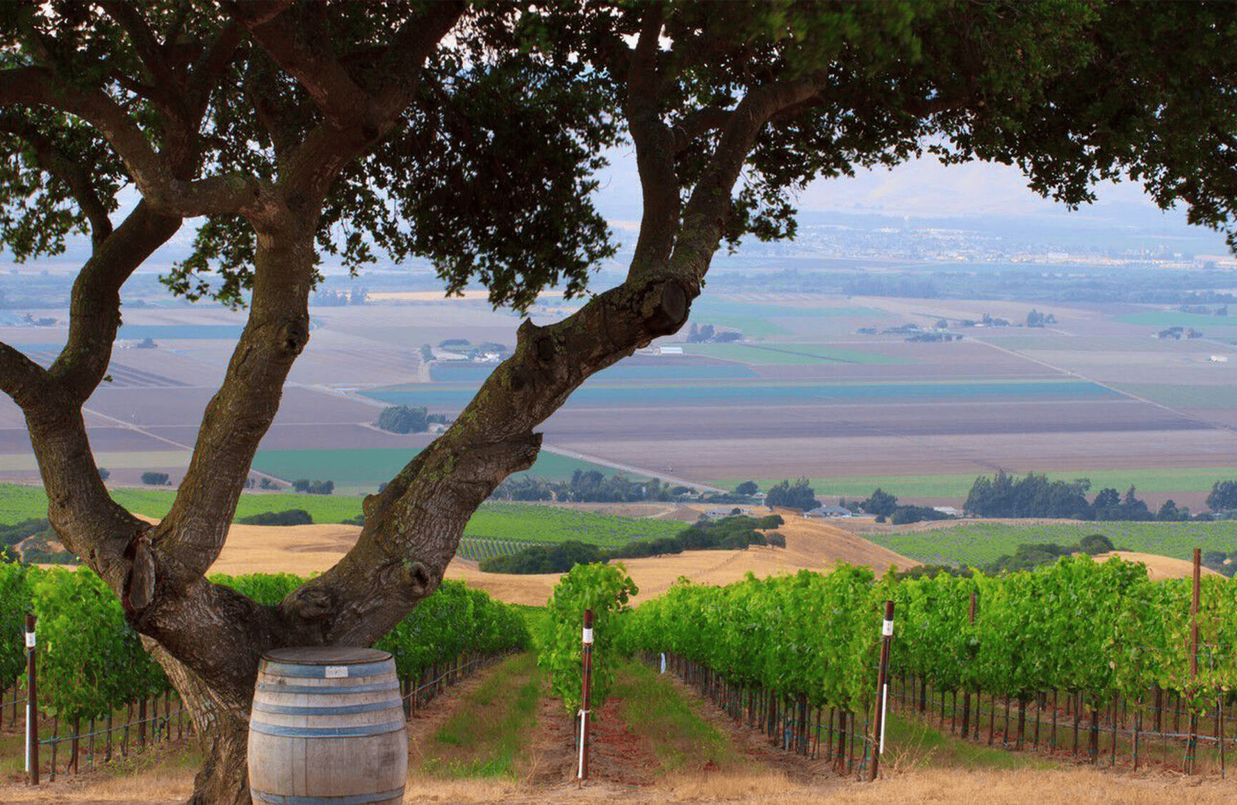 the story of Hahn Family Wines - United States