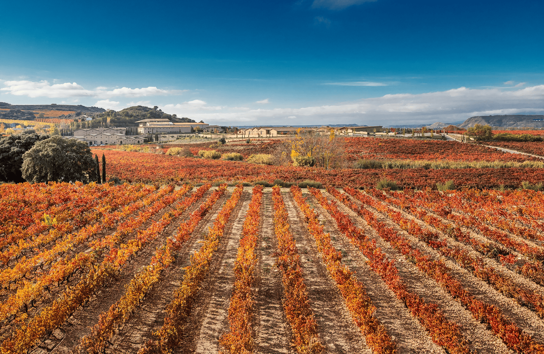 l’histoire du Marques de Murrieta - Espagne