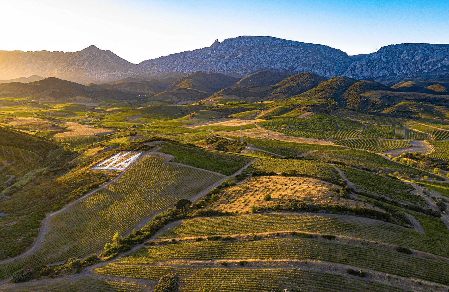 the story of Mas Amiel