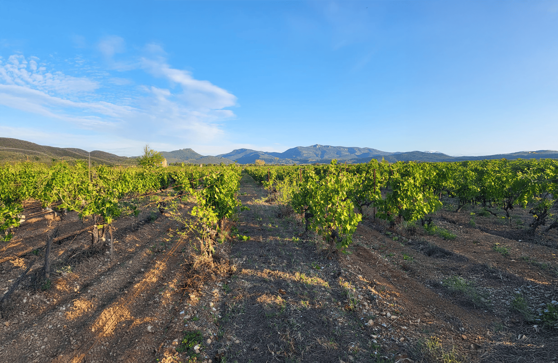 l’histoire du Mas de l'Ecriture