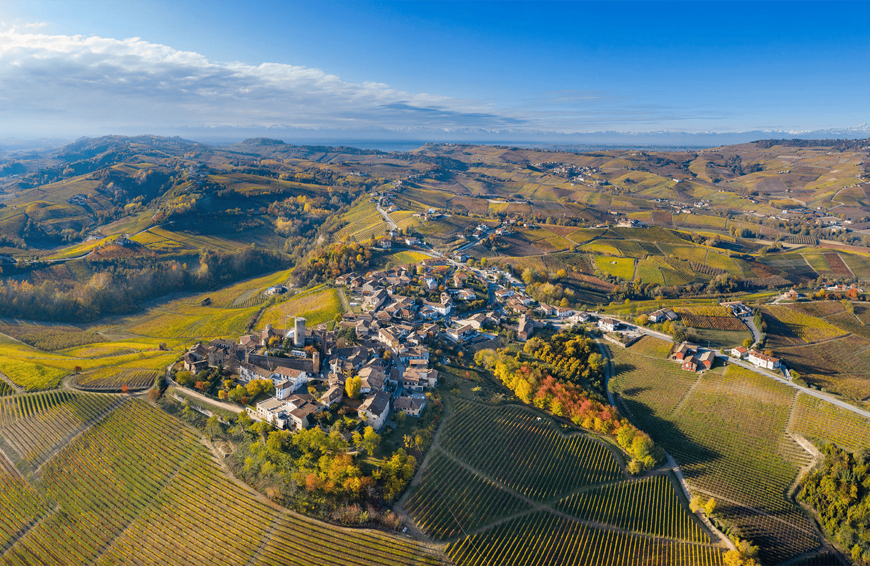 l’histoire du Vietti - Italie