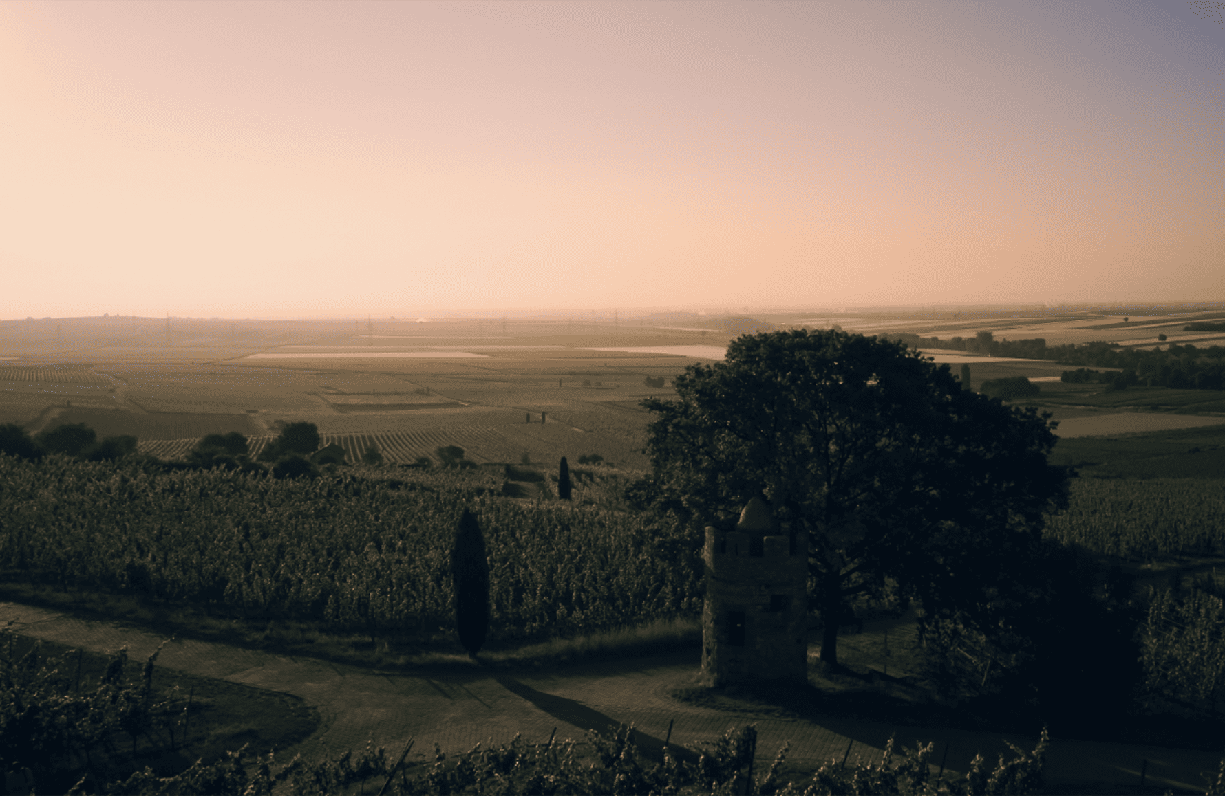 the story of Weingut Wittmann Germany